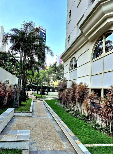 Foto REO1068452