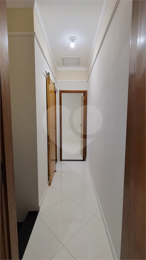 Foto REO1068498