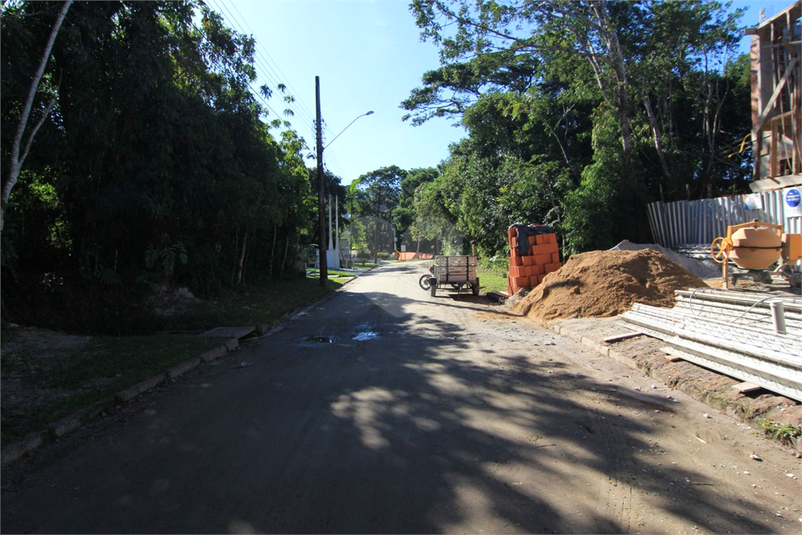 Foto REO1068560