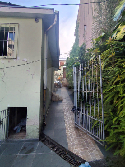 Foto REO1068599