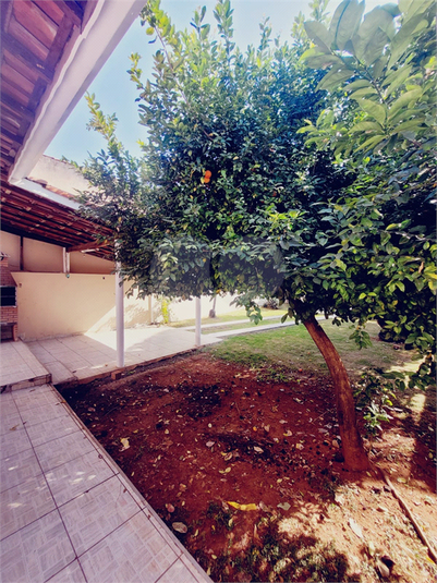 Foto REO1068622