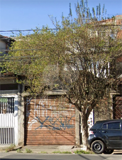Foto REO1068623