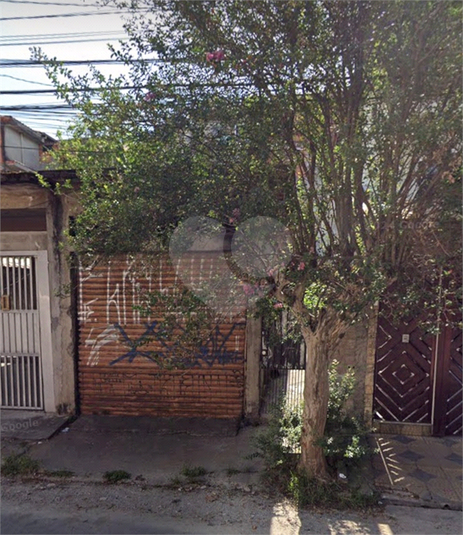 Foto REO1068623