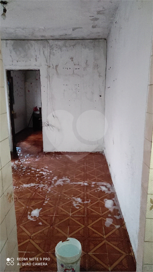 Foto REO1068623