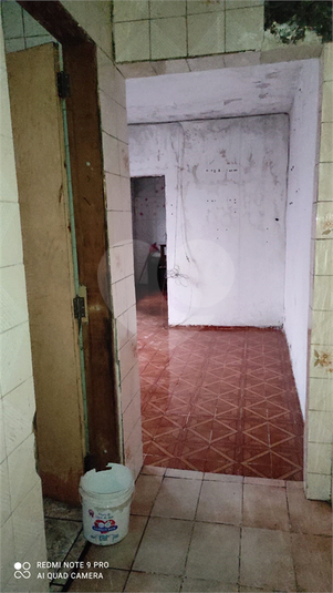 Foto REO1068623