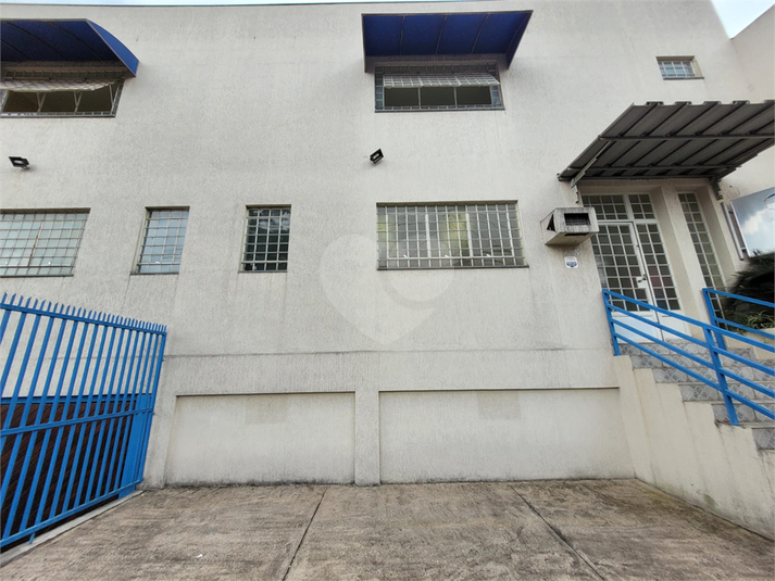 Foto REO1068654