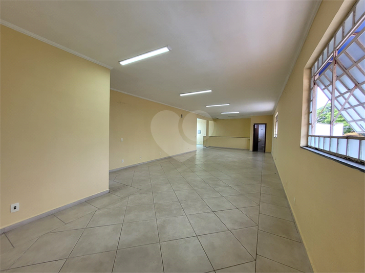 Foto REO1068654