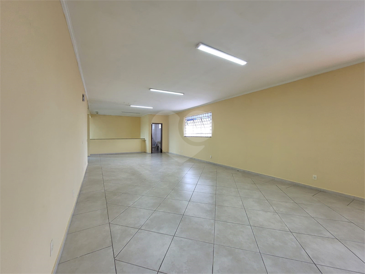 Foto REO1068654