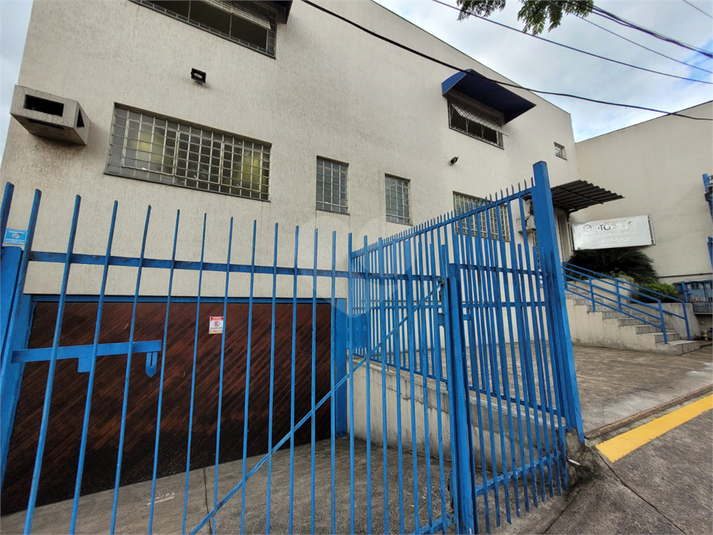Foto REO1068654