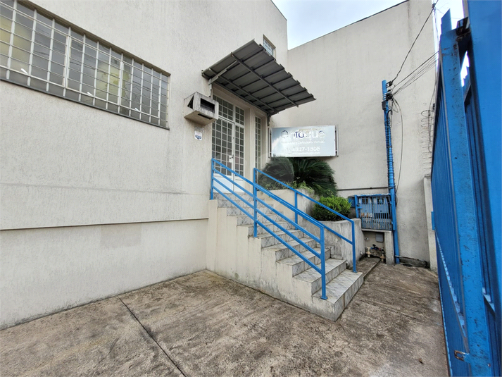 Foto REO1068654