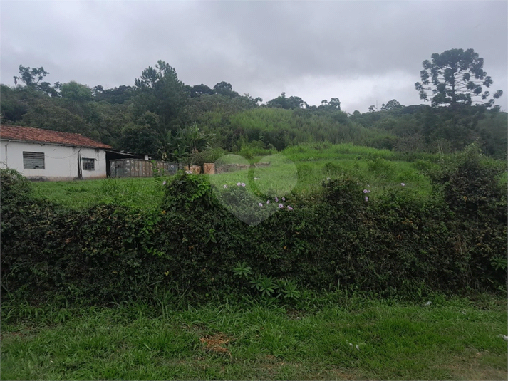 Foto REO1068673