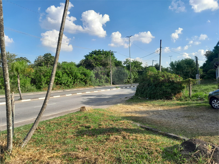 Foto REO1068673