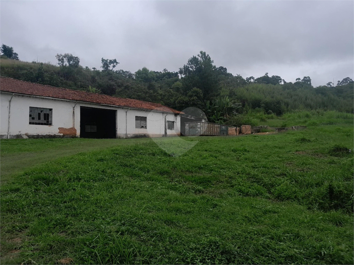 Foto REO1068673
