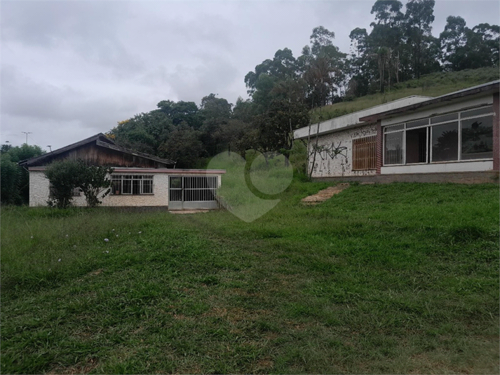 Foto REO1068673