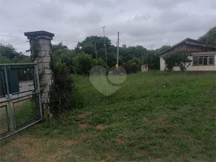 Foto REO1068673