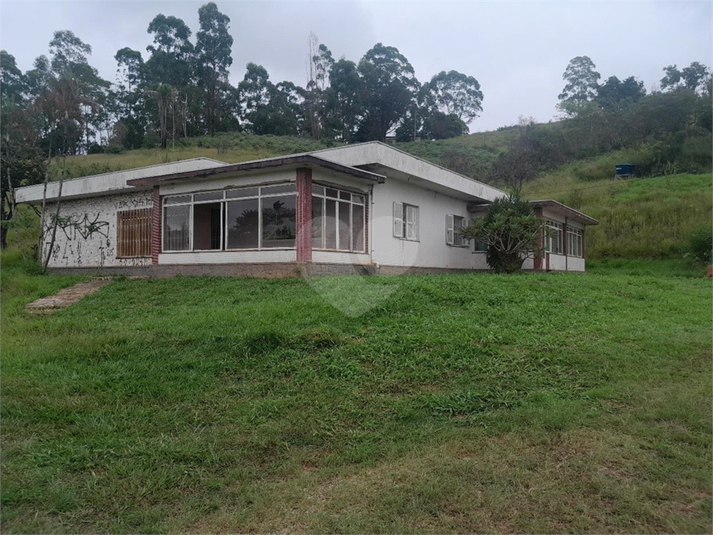 Foto REO1068673