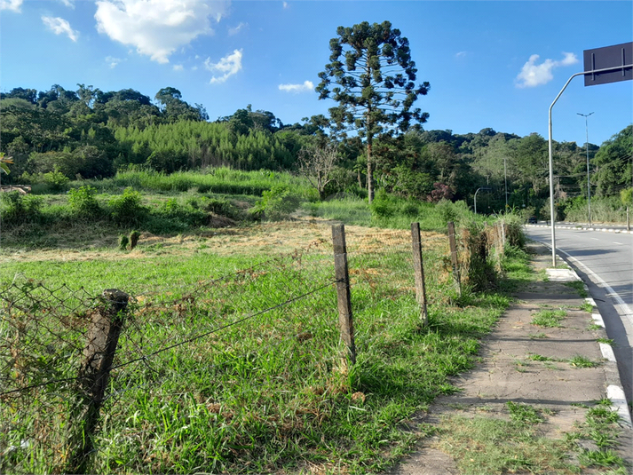 Foto REO1068673