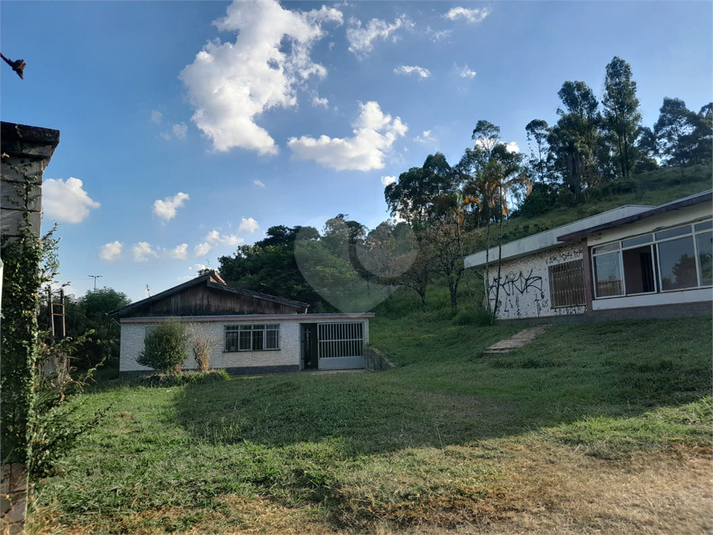 Foto REO1068673