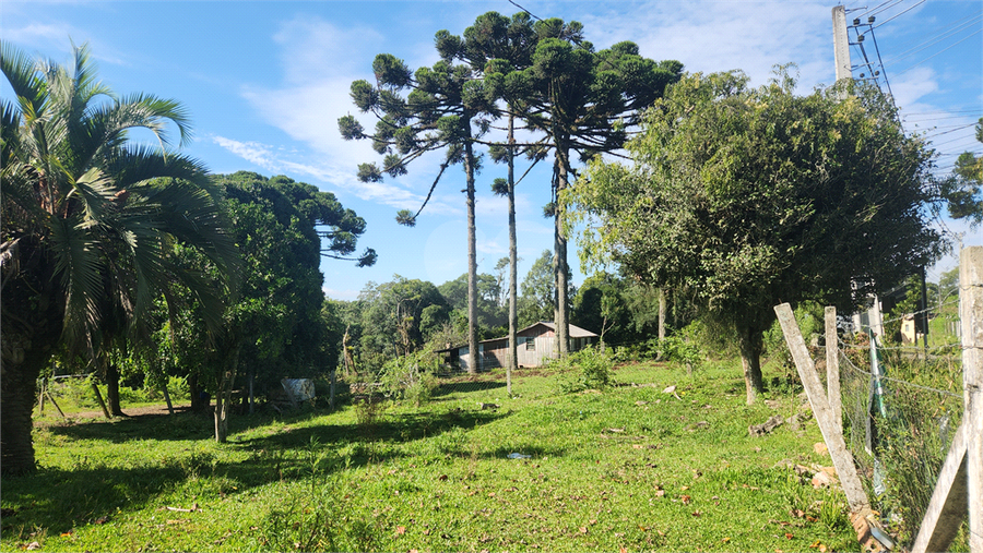 Foto REO1068682