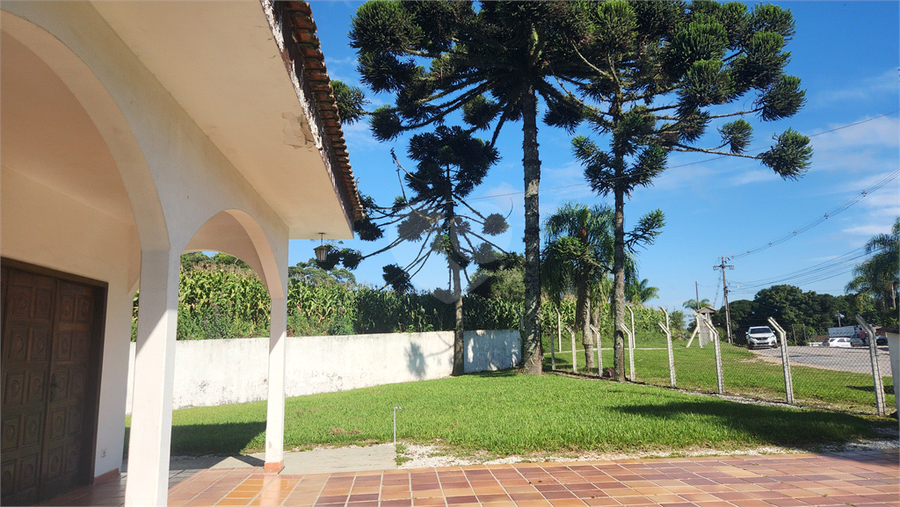 Foto REO1068682