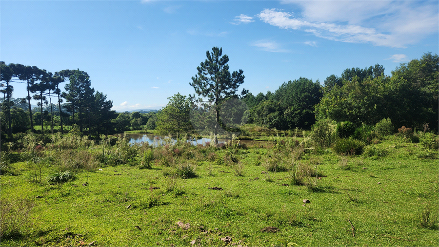 Foto REO1068682