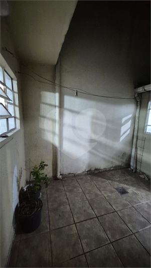 Foto REO1068695