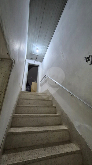 Foto REO1068695