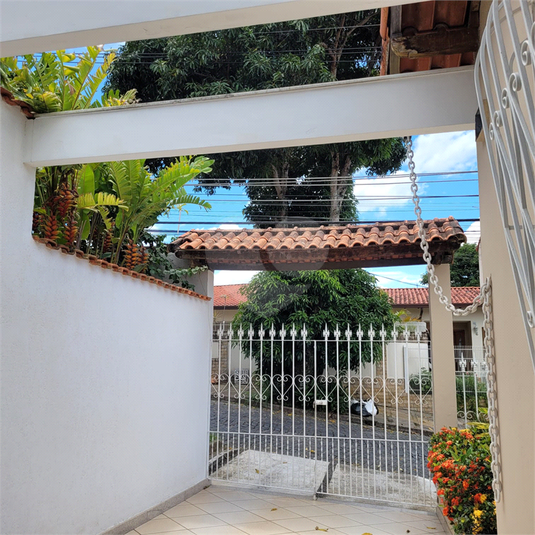 Foto REO1068748