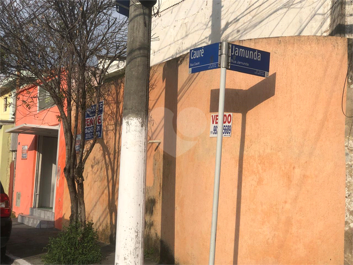 Foto REO1068752