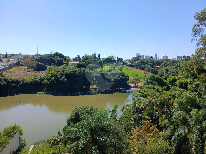 Foto REO1068760