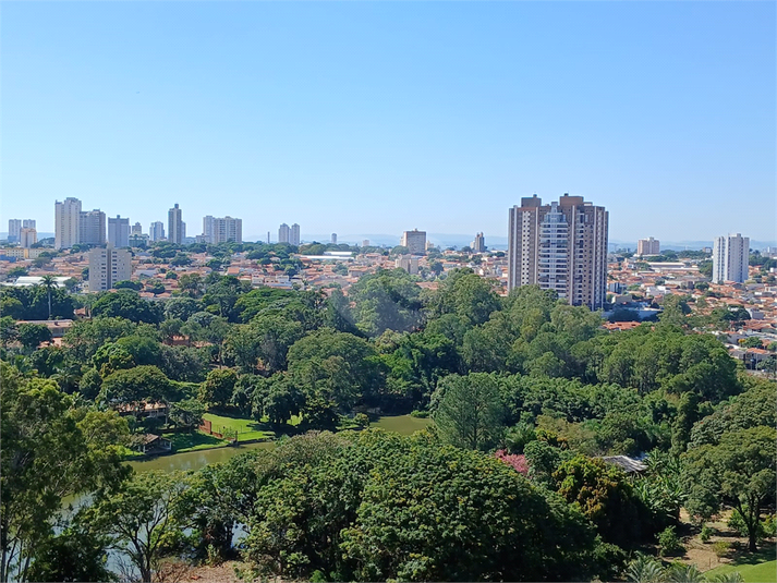 Foto REO1068760