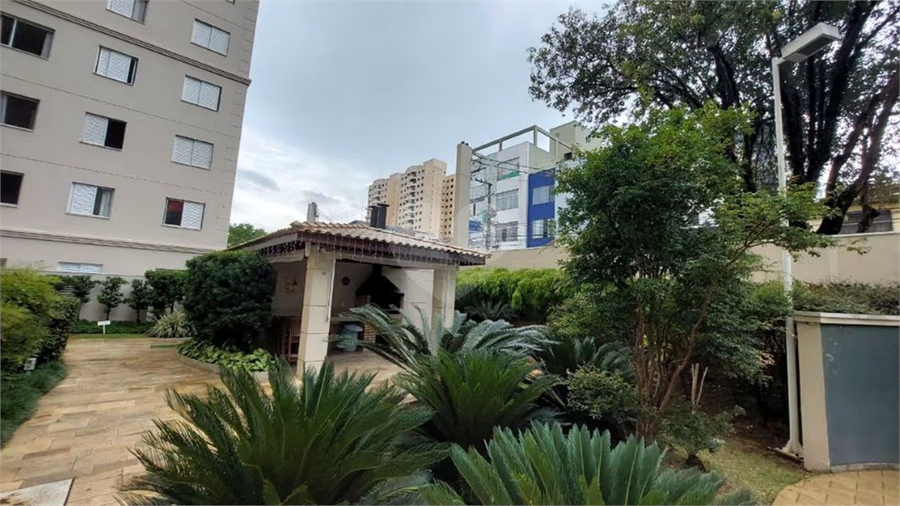 Foto REO1068829