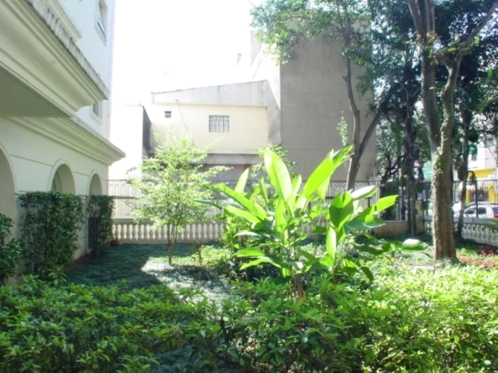 Foto REO1068846