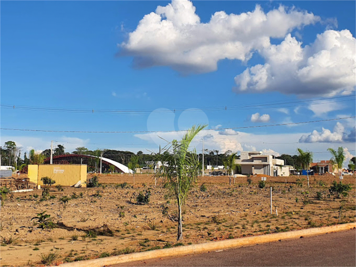 Foto REO1068864