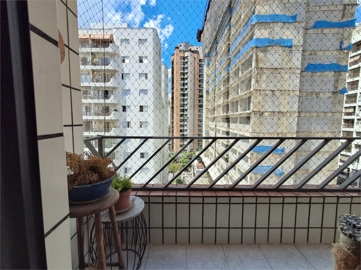 Foto REO1068941