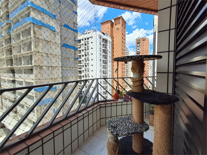 Foto REO1068941