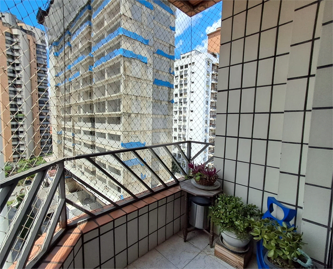 Foto REO1068941