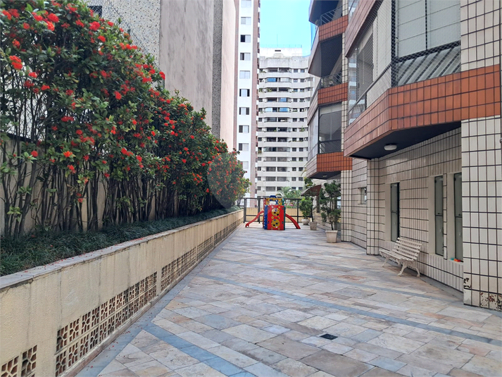 Foto REO1068941