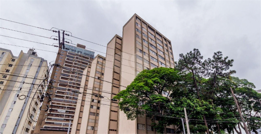 Foto REO1068950