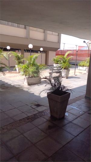 Foto REO1068950