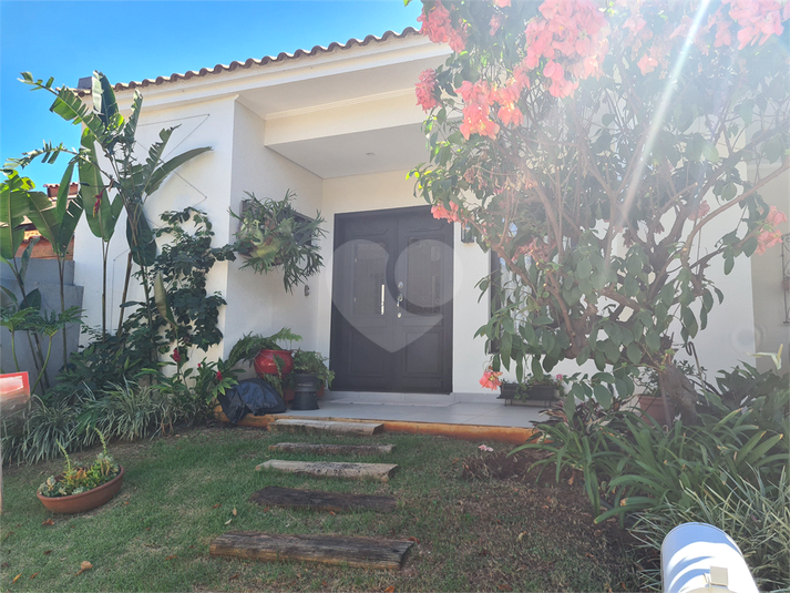 Foto REO1068966