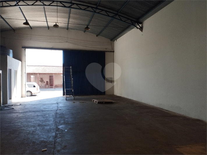 Foto REO1068970