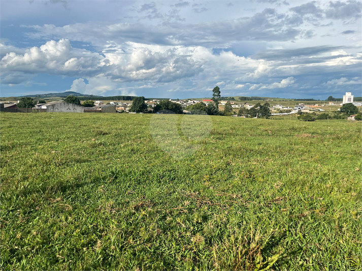 Foto REO1069000