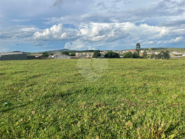 Foto REO1069000