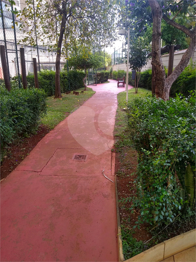Foto REO1069001