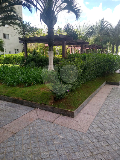 Foto REO1069001