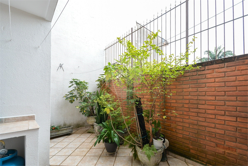Foto REO1069026