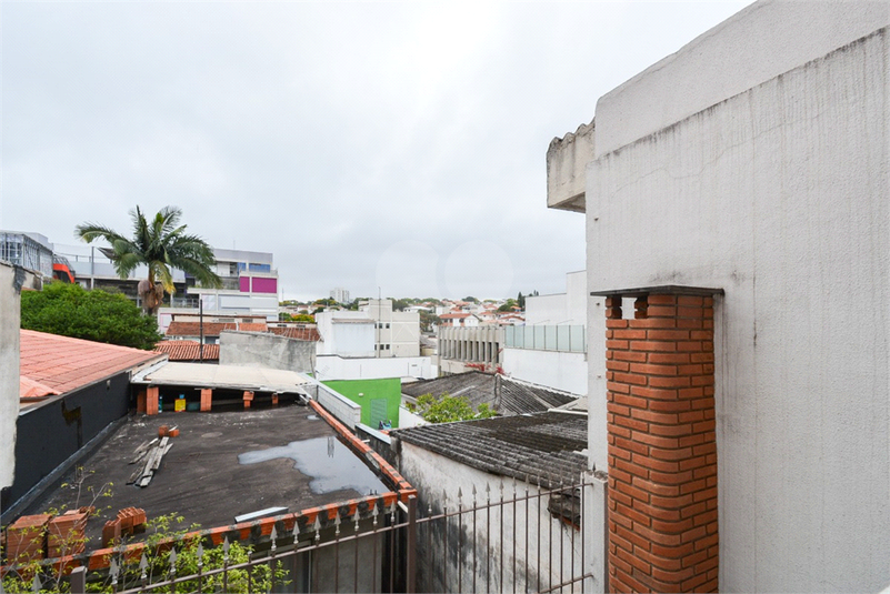 Foto REO1069026
