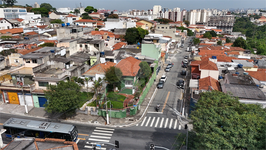 Foto REO1069039