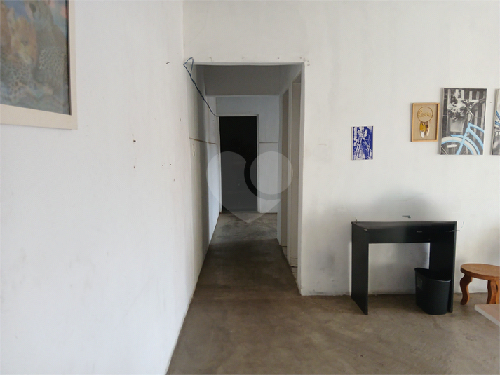 Foto REO1069039
